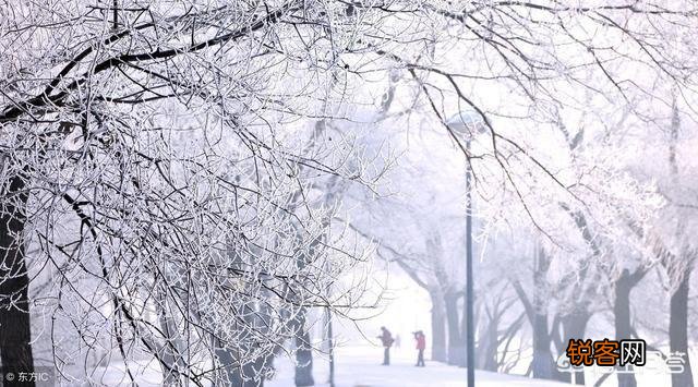 你喜欢雪吗？为什么？