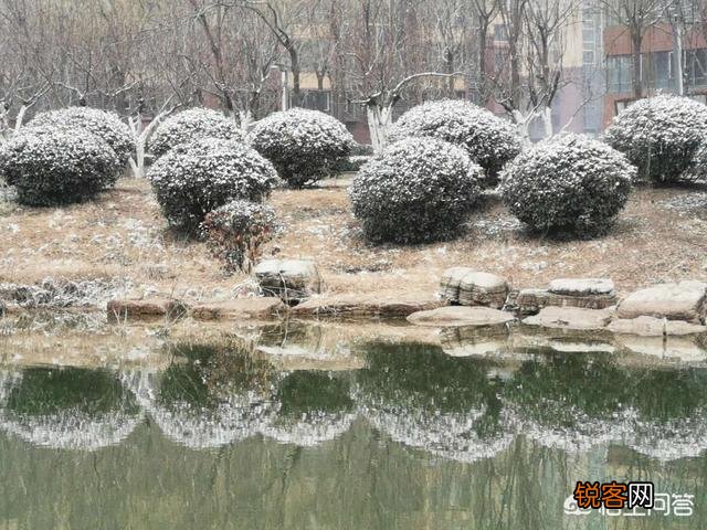 你喜欢雪吗？为什么？