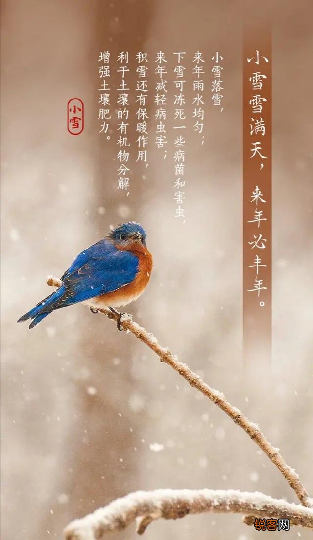 今天小雪,你们那边都有什么习俗呢？