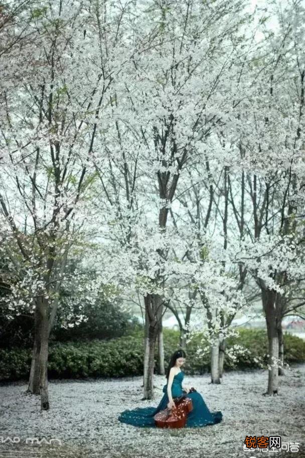 你是喜欢南方的雨还是喜欢北方的雪？