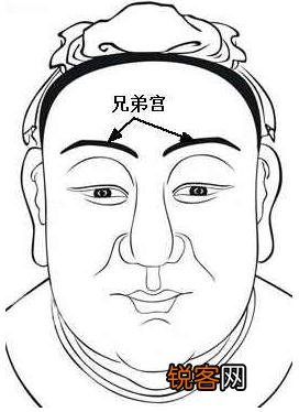 面相算命图解：面相十二宫图之兄弟宫