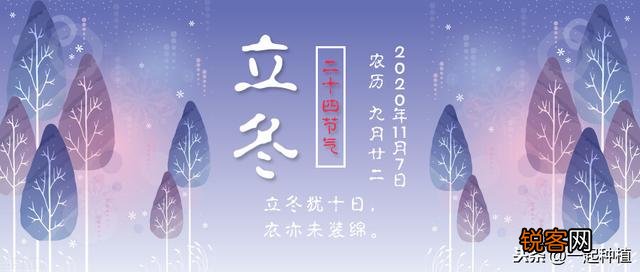 农村俗语：“立冬没有霜,春来地光光”是什么意思？