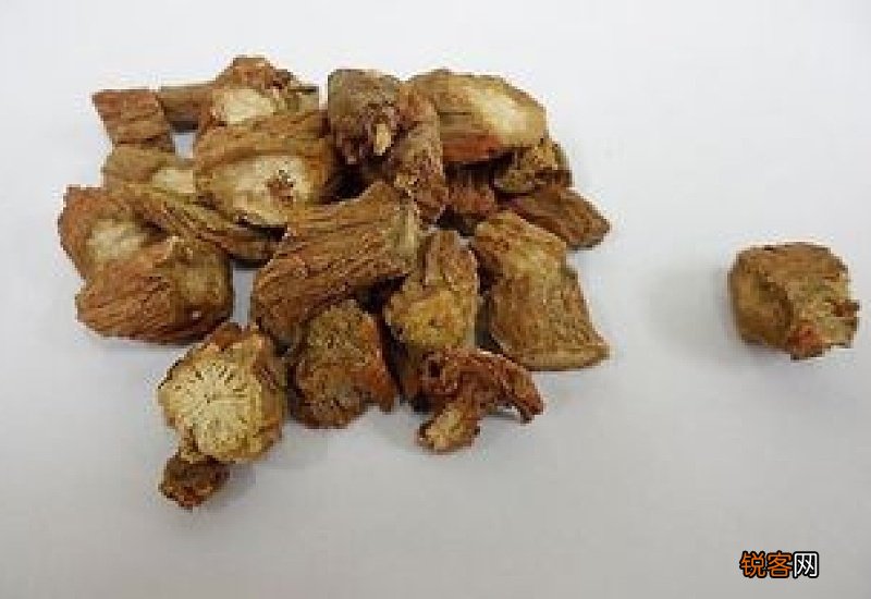 丹参的功效与作用 丹参的副作用是什么