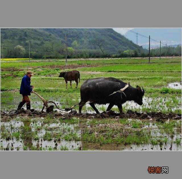 小寒节气到了,多个地区迎来大降雪,这对农业有啥影响呢？