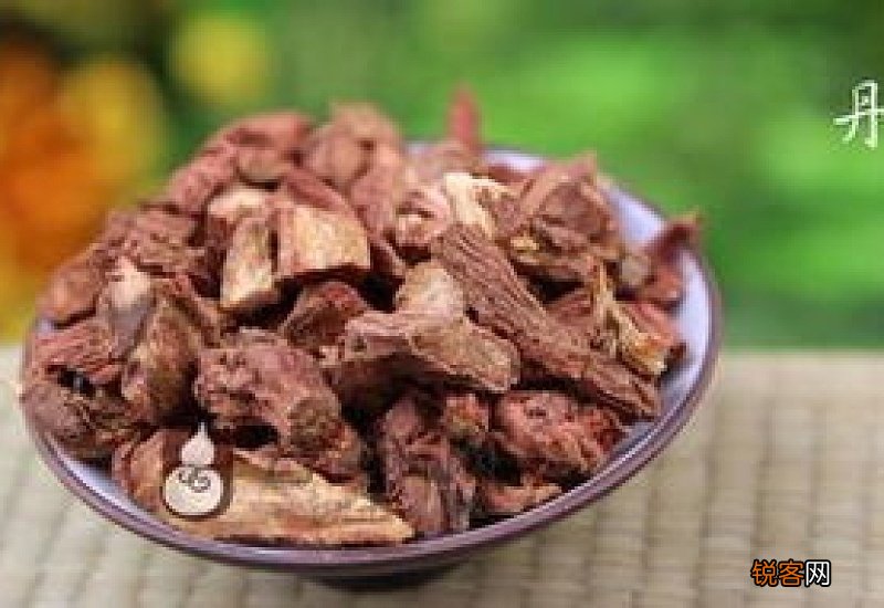 丹参不能和什么同食 丹参哪五种人不能喝