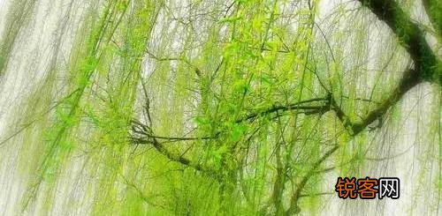 经历了这次疫情,今后你会拼命攒钱未雨绸缪,还是有钱就花及时行乐？
