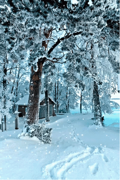 “春有百花秋有月,夏有凉风冬有雪”,你怎么理解这句带人生哲理的句子？