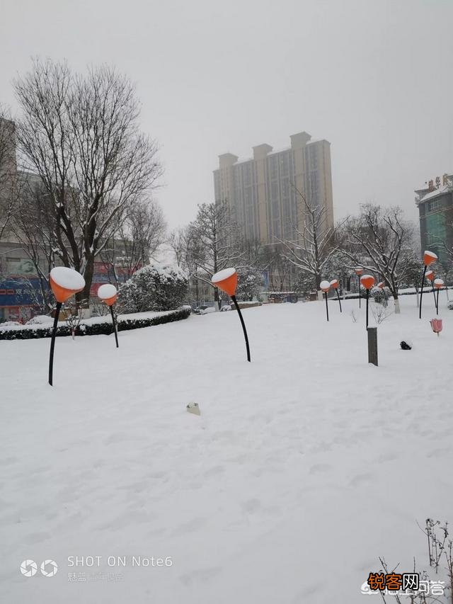 有什么描写雪的诗词？