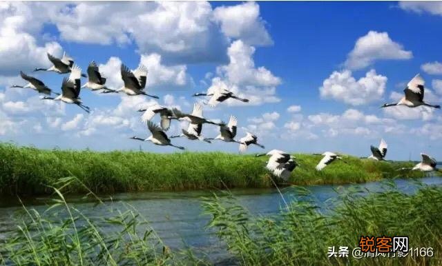 有什么描写雪的诗词？