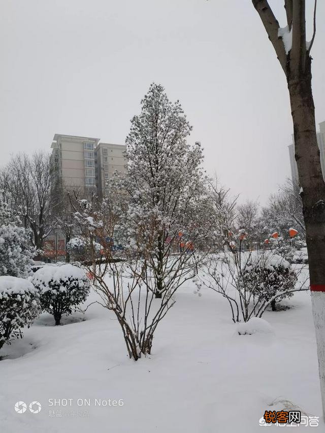 有什么描写雪的诗词？