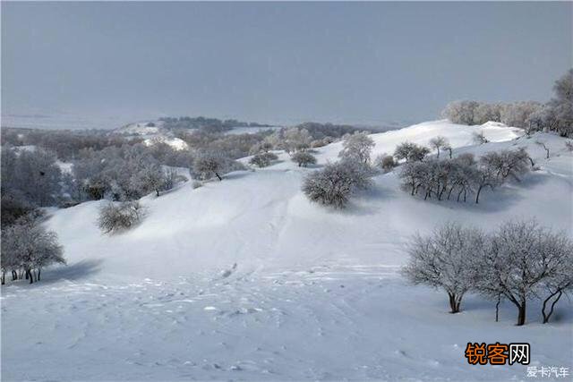 有什么描写雪的诗词？