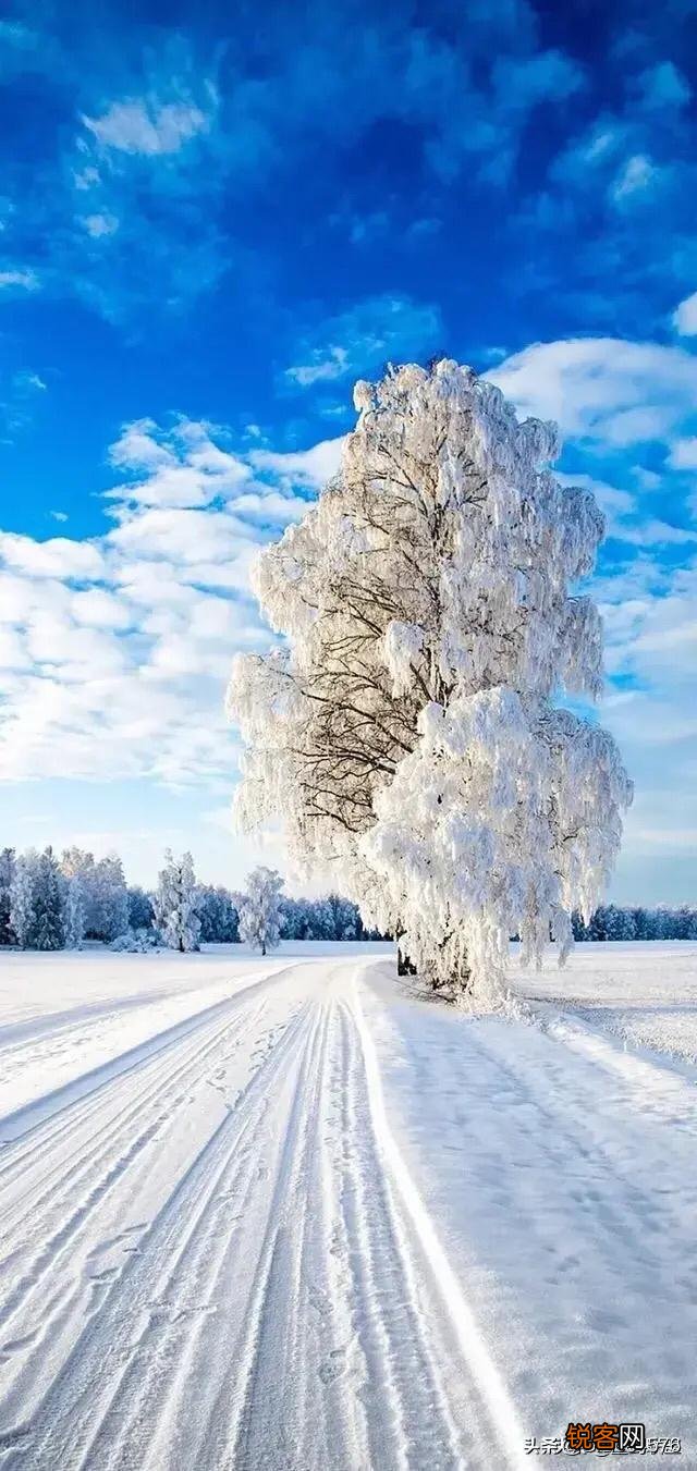 有什么描写雪的诗词？