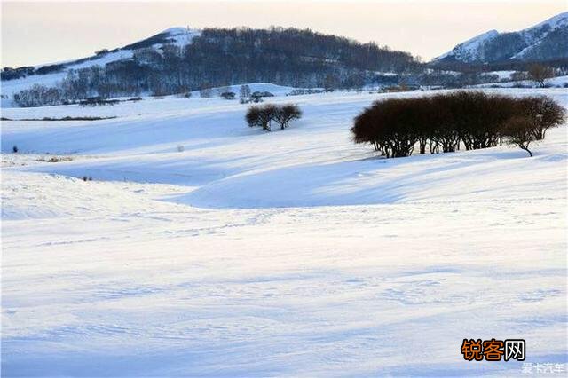 有什么描写雪的诗词？