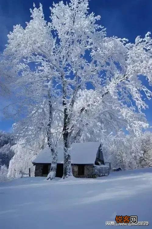 有什么描写雪的诗词？