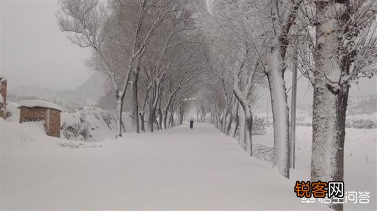 还记得90年代初二的那场大雪吗,一直到现在也没再下过那么大的,有故事和酒吗？