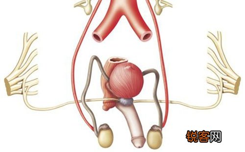 死精症晚期有哪些罕见症状 这五大晚期症状需警觉