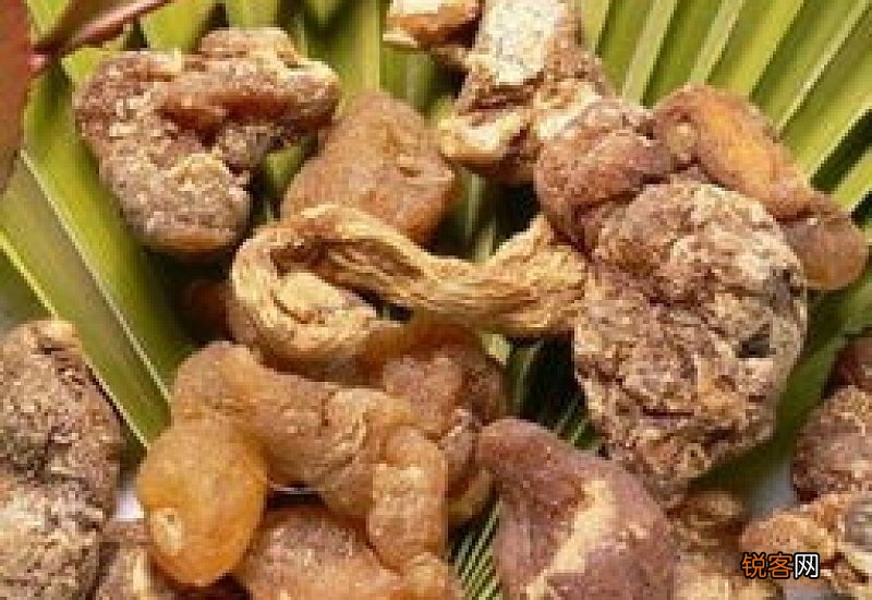 黄精泡水喝的功效与副作用 黄精泡水喝是生的好还是熟的好