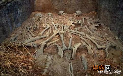 明太祖朱元璋是怎么死的？