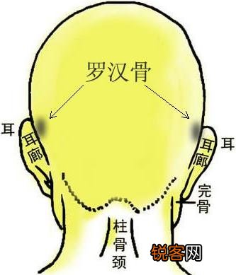 骨相大全 骨相图解 骨相图解：罗汉骨