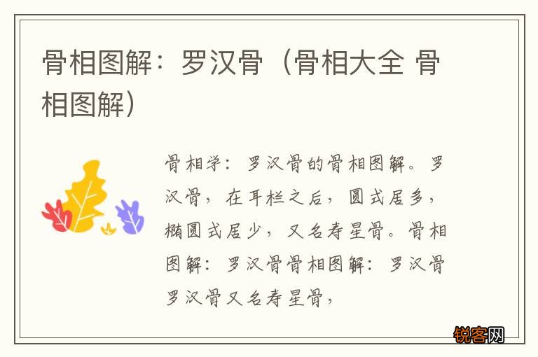 骨相大全 骨相图解 骨相图解：罗汉骨