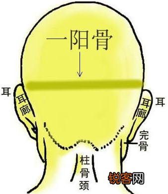 骨相大全 骨相图解 骨相图解：一阳骨