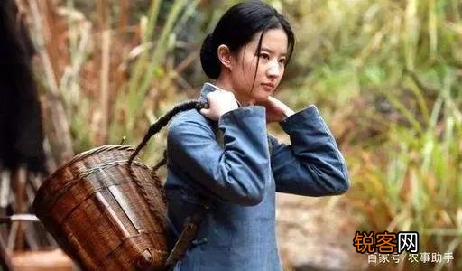 农村俗语“好男对凸怕有三,好女对凹怕有四”是什么意思？有什么道理？