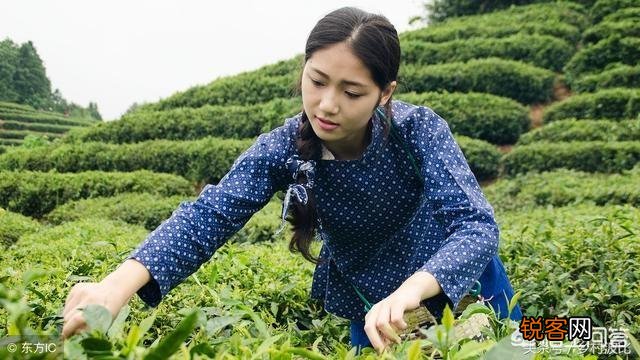 农村俗语“好男对凸怕有三,好女对凹怕有四”是什么意思？有什么道理？