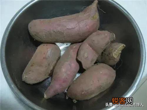 生产队时冬季“上河工”,要干多少天？伙食怎么样？