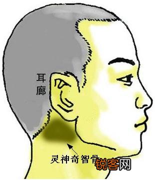 智慧骨面相 骨相图解：灵神奇智骨