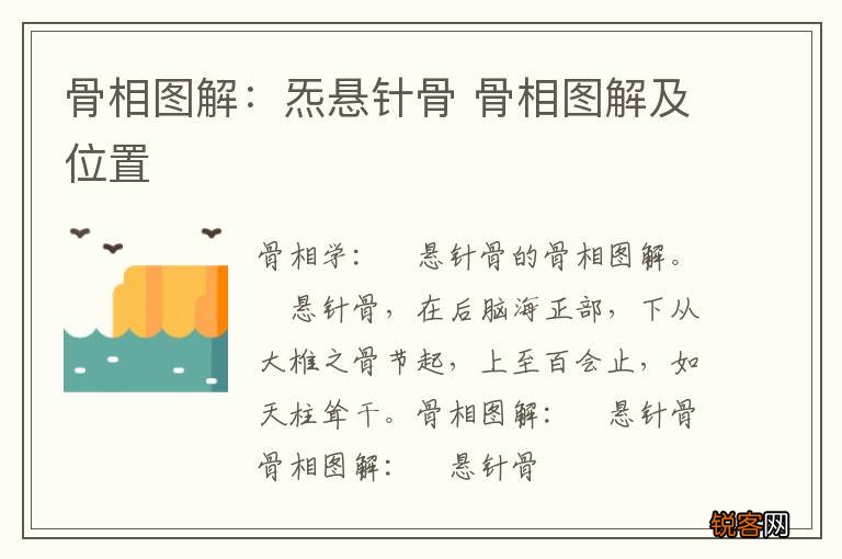 骨相图解：炁悬针骨 骨相图解及位置