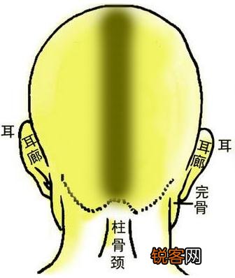 骨相图解：炁悬针骨 骨相图解及位置