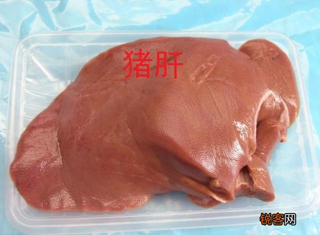 史记：食肉不食马肝。马肝到底能不能吃？