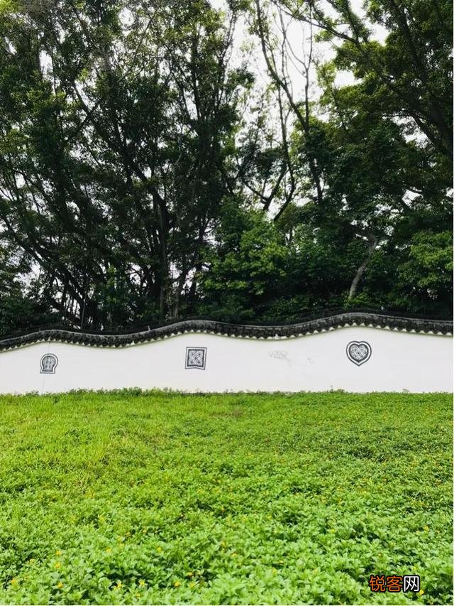 那个说着土猪拱白菜言论的少年学霸,为何要被全网怼？