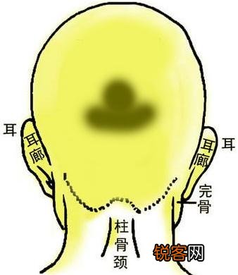 骨相图解：明珠碧玉骨 明珠碧玉骨面相