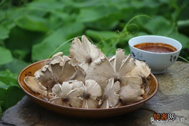 一定要区级或是县级以下的,包括区县 大家可以分享一下自己家乡的特色美食吗？