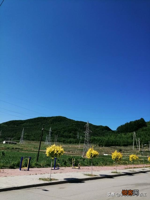 有点好奇,冬天这么冷,在农村的东北人一般都在干什么呢？