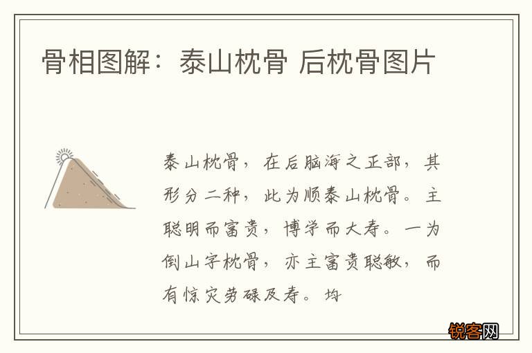 骨相图解：泰山枕骨 后枕骨图片