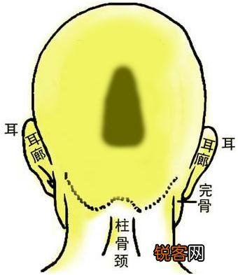 面相奇骨 图解 骨相图解：昆仑奇峰骨
