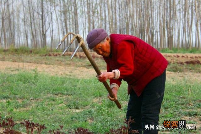 农民本可以种些无农药残留的粮食和蔬菜,过自给自足的生活。为什么偏要外出务工？