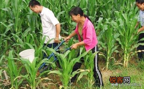 农村俗语：“男无性铁无钢,女无性烂如麻”啥意思？有道理吗？