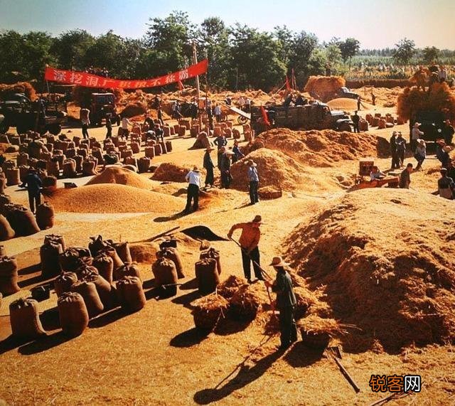 你们还记得农村打场,收麦,扬场的画面吗？