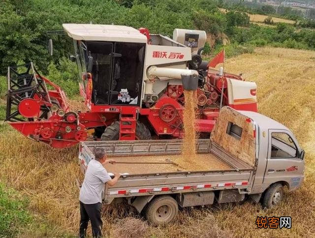 你们还记得农村打场,收麦,扬场的画面吗？