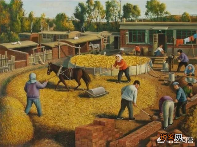 你们还记得农村打场,收麦,扬场的画面吗？