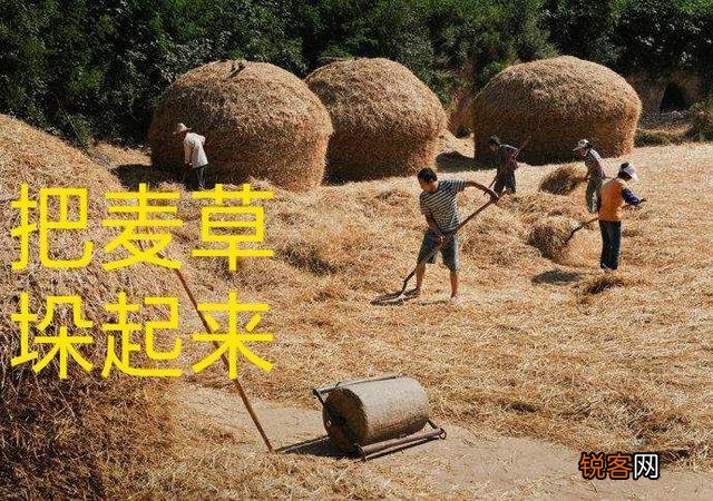 你们还记得农村打场,收麦,扬场的画面吗？