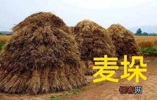 你们还记得农村打场,收麦,扬场的画面吗？