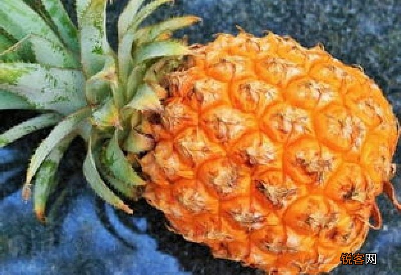 没削皮的菠萝能放多久