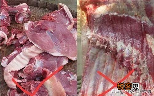 为什么母猪的肉不能吃？