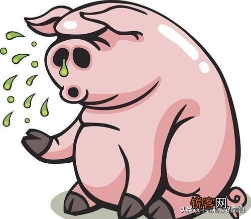 为什么母猪的肉不能吃？