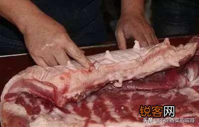 为什么母猪的肉不能吃？