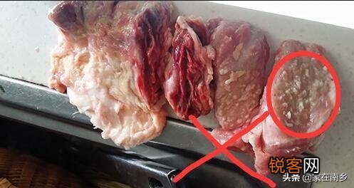 老母猪肉 在农村集市上,卖猪婆肉的屠夫老板安的是啥心？怎样辨别猪婆肉？